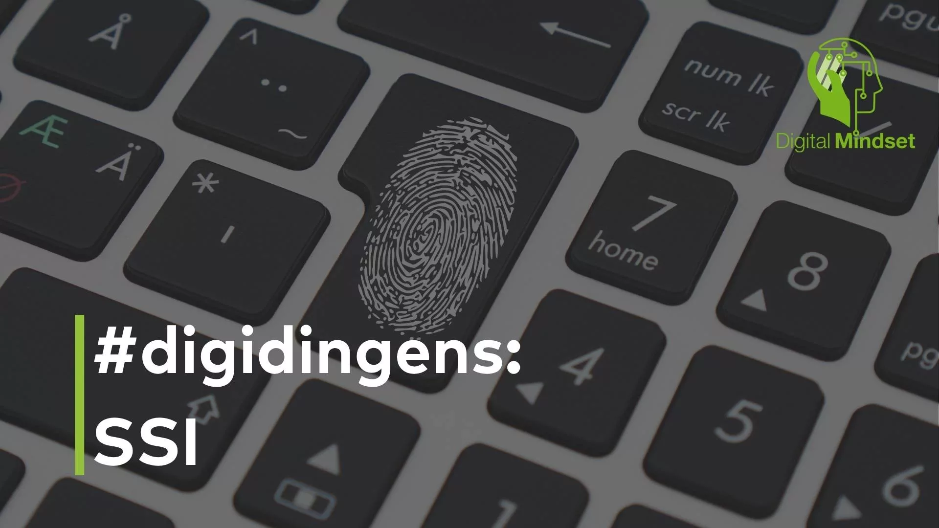 digidingens: SSI