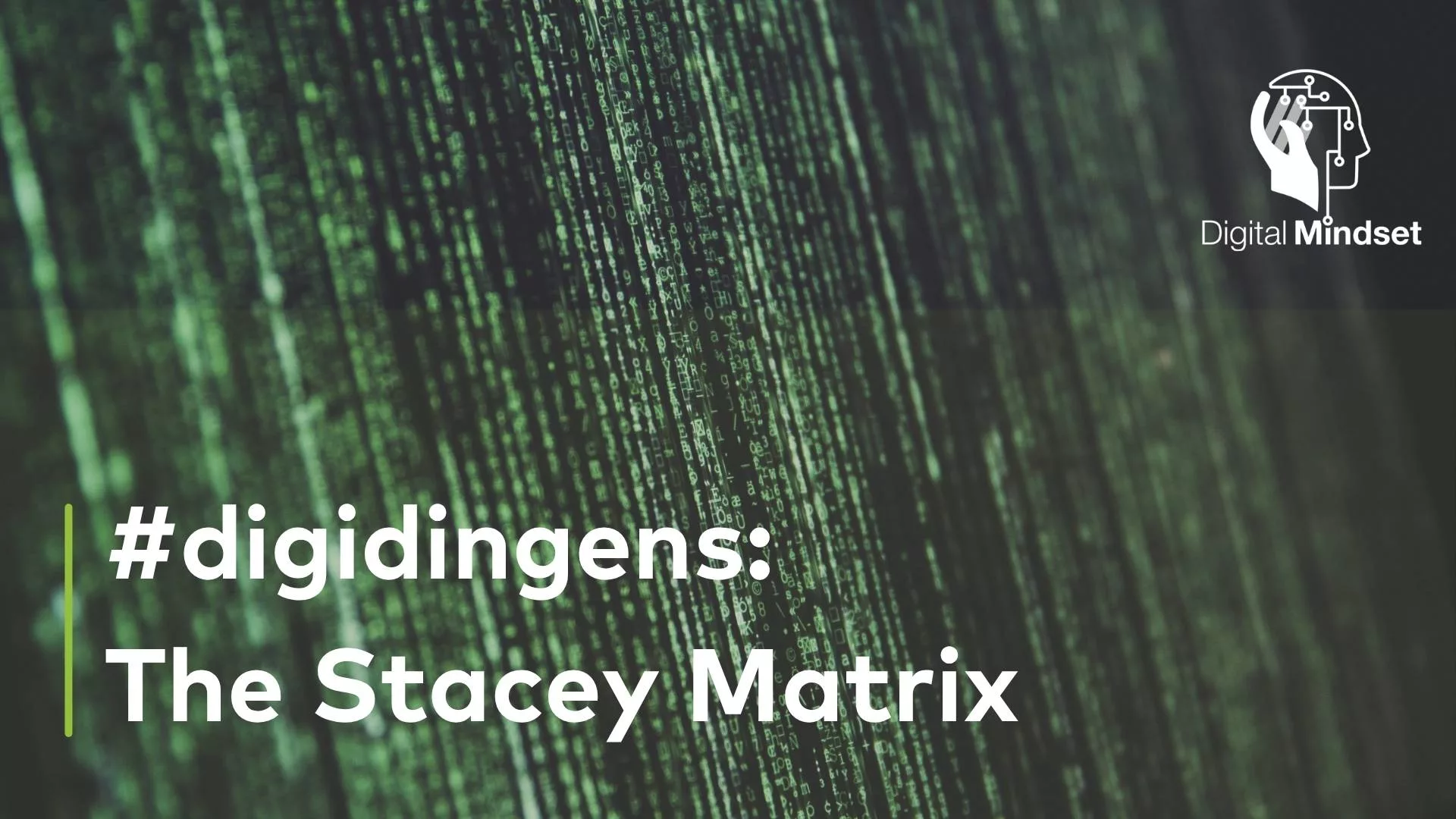 digidingens: The Stacey Matrix