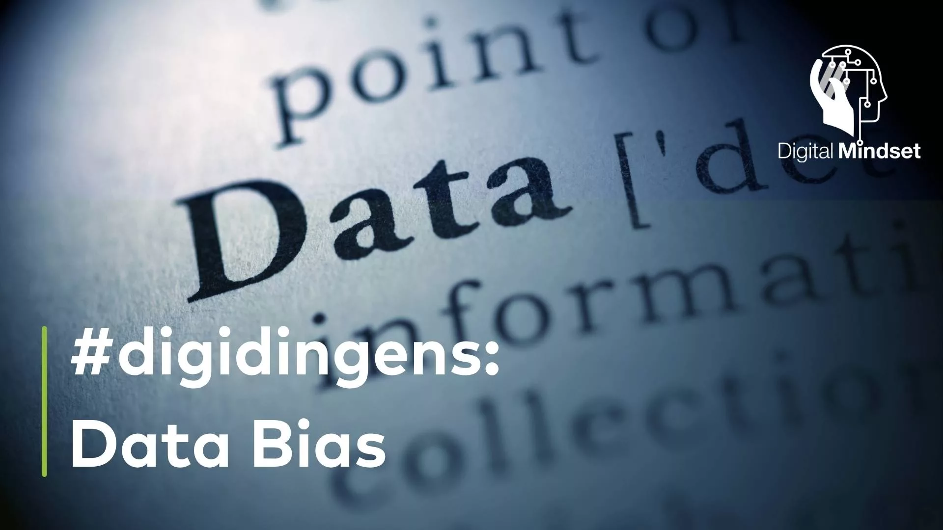 digidingens: Data Bias